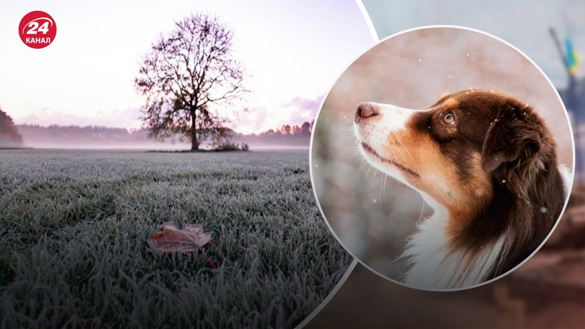В Україні ослабнуть морози - 24 Канал В Україні ослабнуть морози - 24 Канал