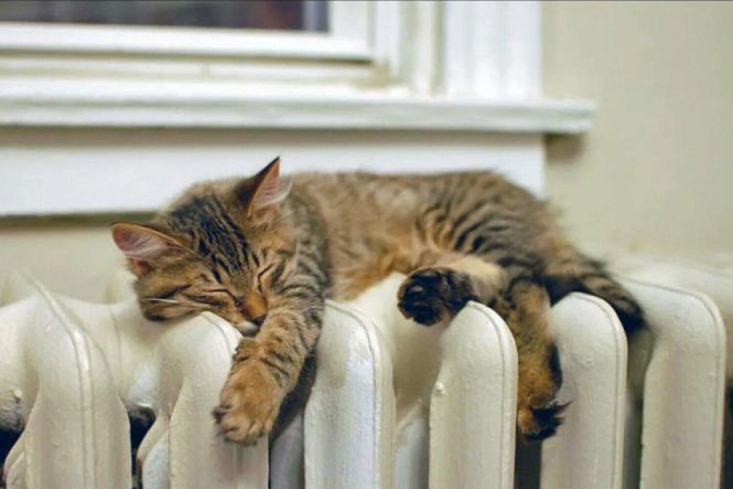 Відключення світла 25 січня 2022 – яка зараз ситуація в енергосистемі Відключення світла 25 січня 2022 – яка зараз ситуація в енергосистемі