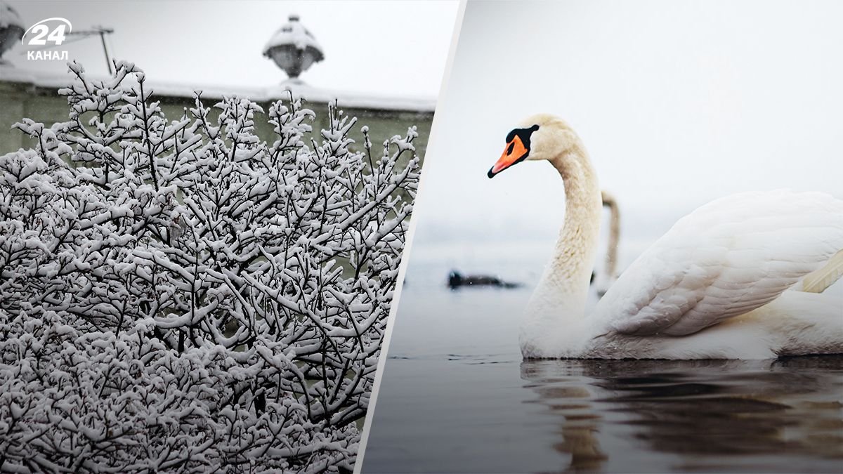 Яка буде погода в останні дні січня - 24 Канал Яка буде погода в останні дні січня - 24 Канал