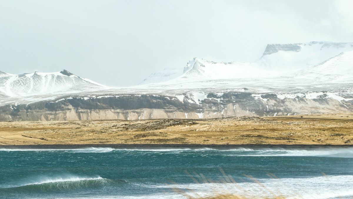 В Арктиці знайшли перші скам'янілості приматів В Арктиці знайшли перші скам'янілості приматів