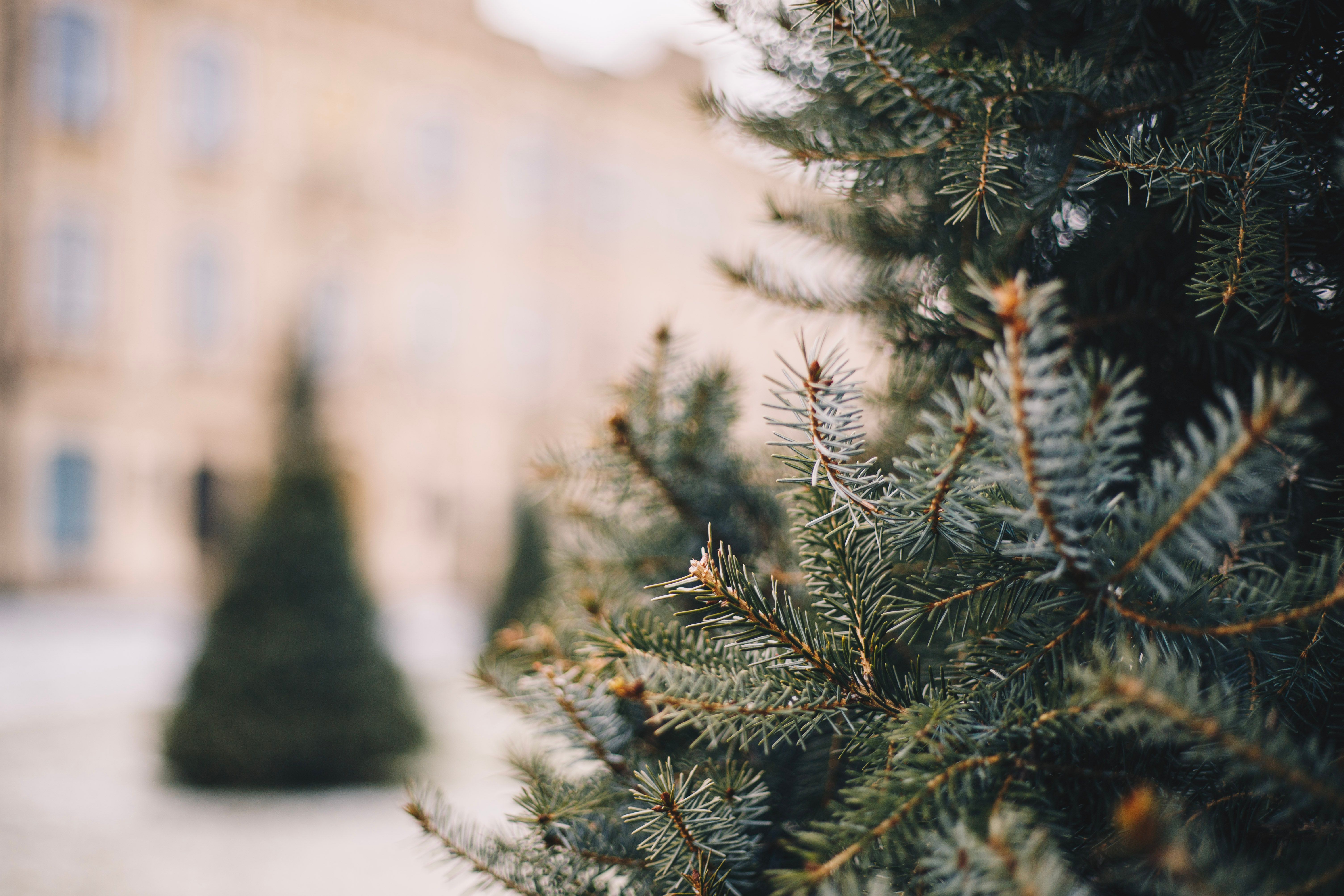 Прогноз погоды на 28 января 2023 г. в Украине - что прогнозируют синоптики Прогноз погоды на 28 января 2023 г. в Украине - что прогнозируют синоптики