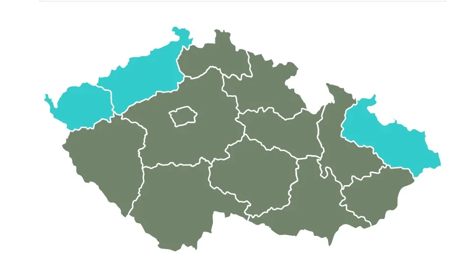 Голосование в Чехии