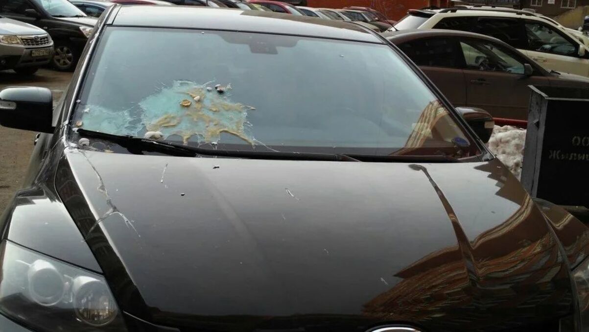 Автомобиль одной из жительниц дома забросали яйцами Автомобиль одной из жительниц дома забросали яйцами