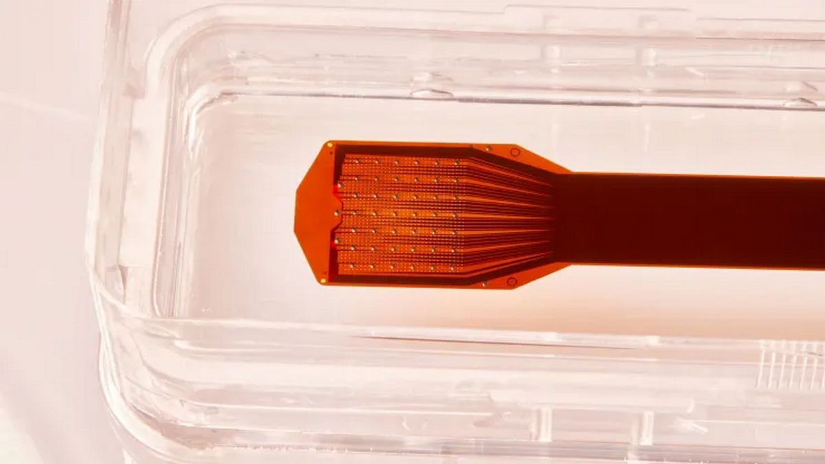 Новий нейроімплант тонший за людське волосся і не вимагає вживлення в мозок Новий нейроімплант тонший за людське волосся і не вимагає вживлення в мозок