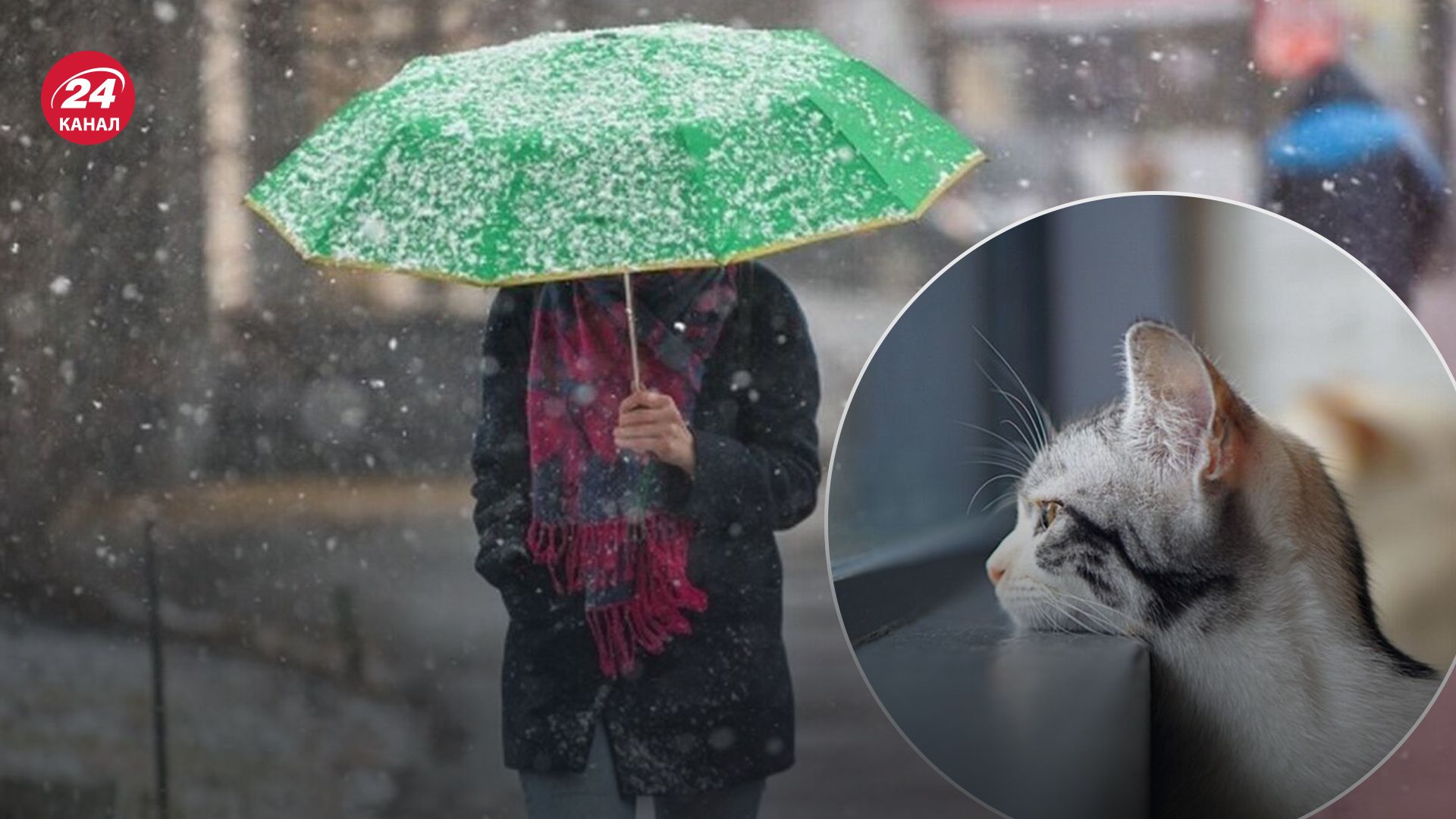 Погода в Украине 31 января Погода в Украине 31 января