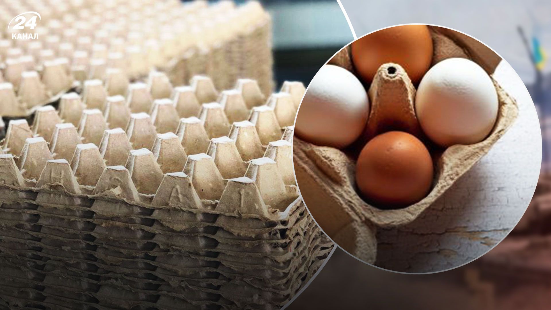 Ціни на яйця 2023 - чому може виникнути дефіцит яєць