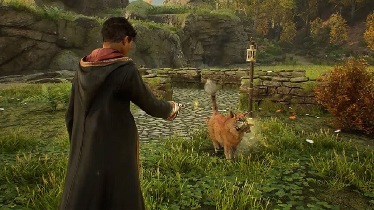 Hogwarts Legacy - в игре будет магический зверь низл - какие еще животные