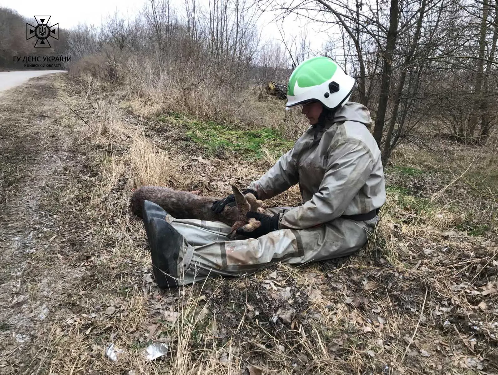 Рятувальники витягли тварину на берег та зігріли