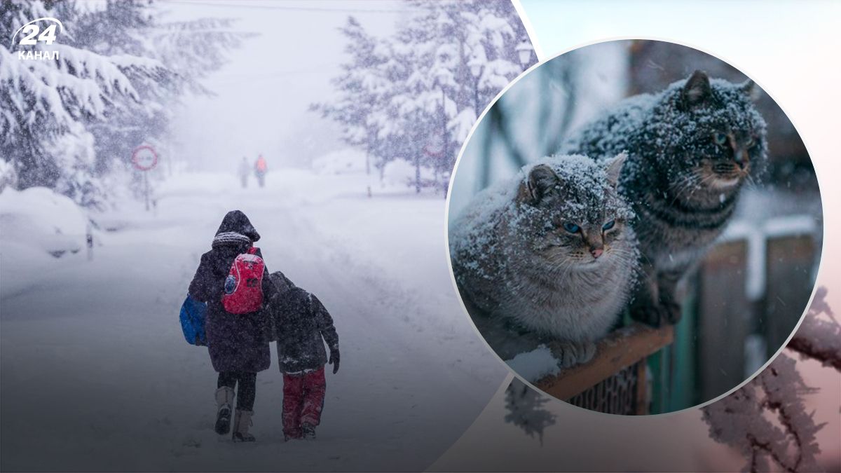 Зима еще может отыграться за тепло - 24 Канал Зима еще может отыграться за тепло - 24 Канал