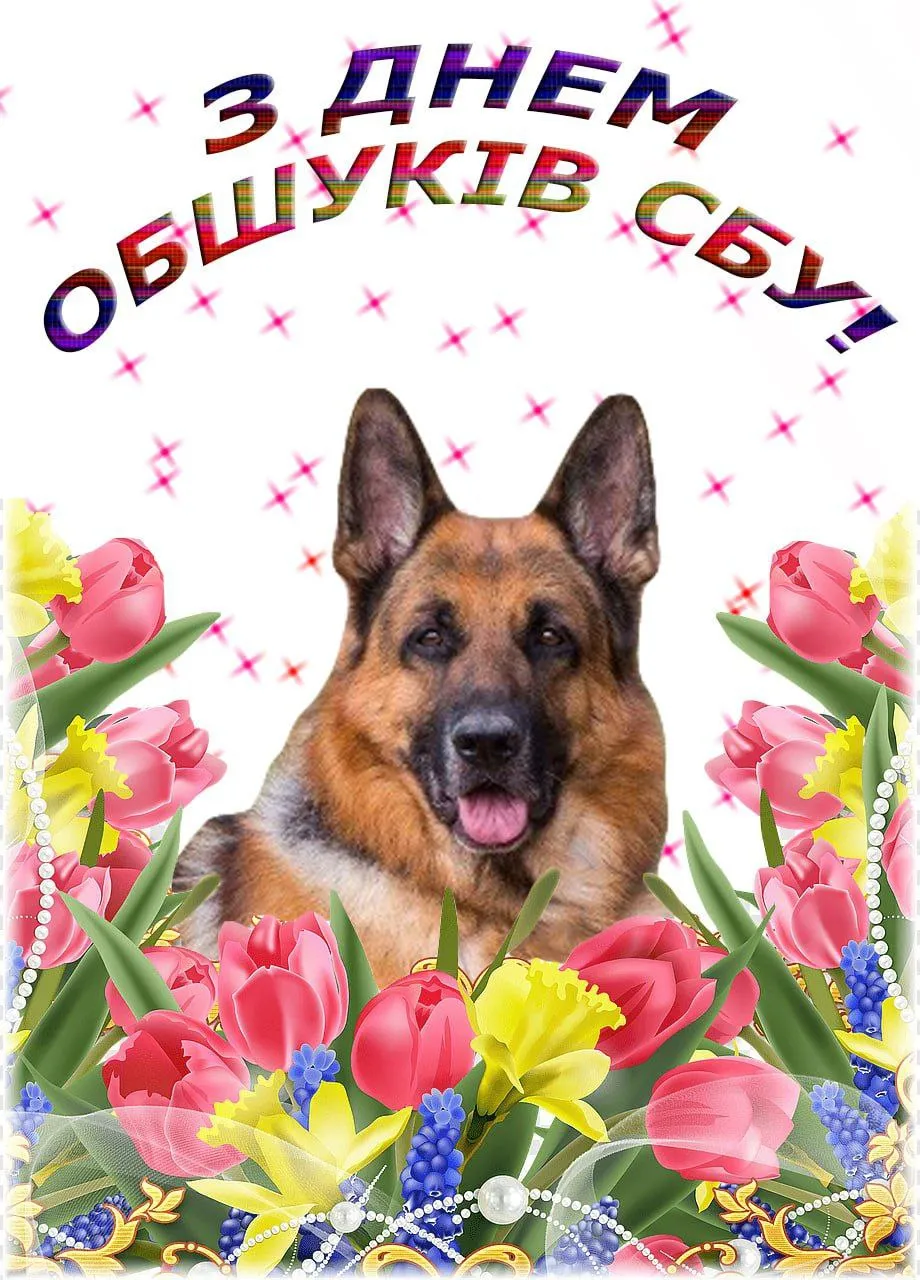 Мемы об обысках СБУ Мемы об обысках СБУ