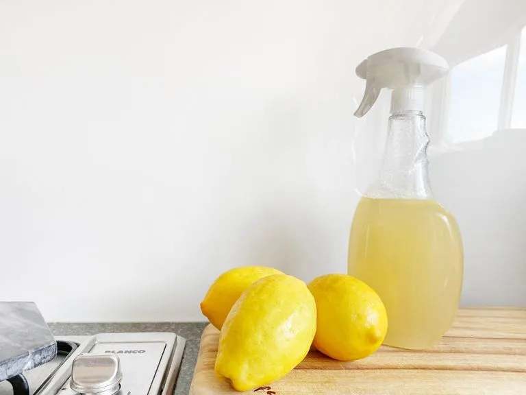 Как почистить утюг от накипи лимонной кислотой