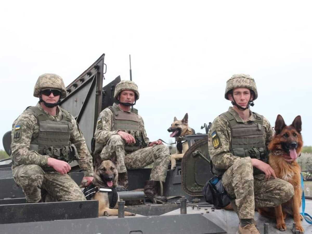 Актуальна інформація з фронту станом на вечір 1 лютого Актуальна інформація з фронту станом на вечір 1 лютого