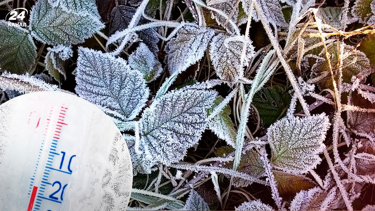 Морози в Україні - 24 Канал Морози в Україні - 24 Канал