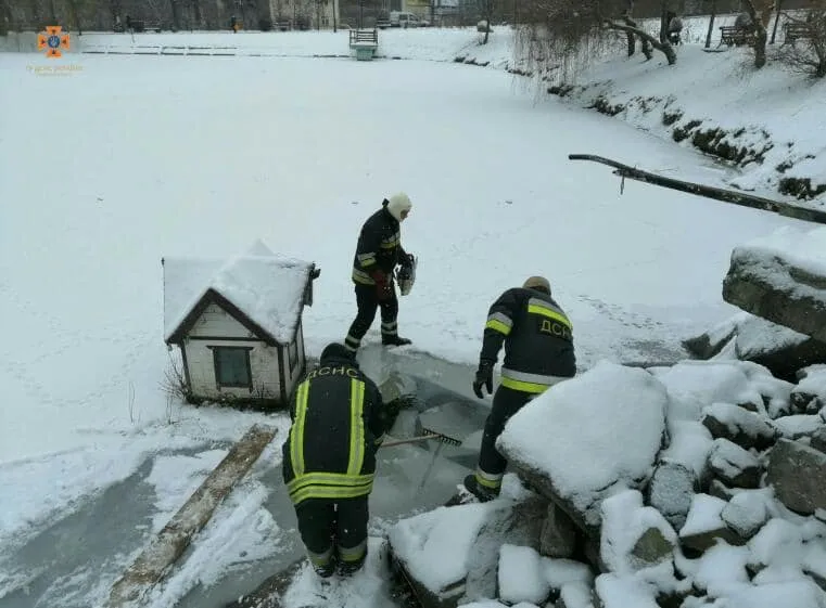 На Киевщине спасли уток, попавших в ледяную ловушку