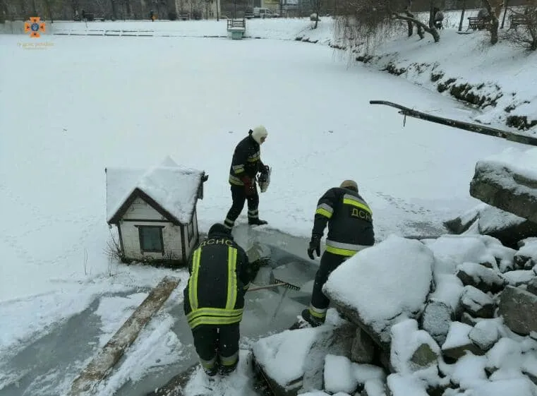 На Київщині врятували качок, які потрапили у крижану пастку