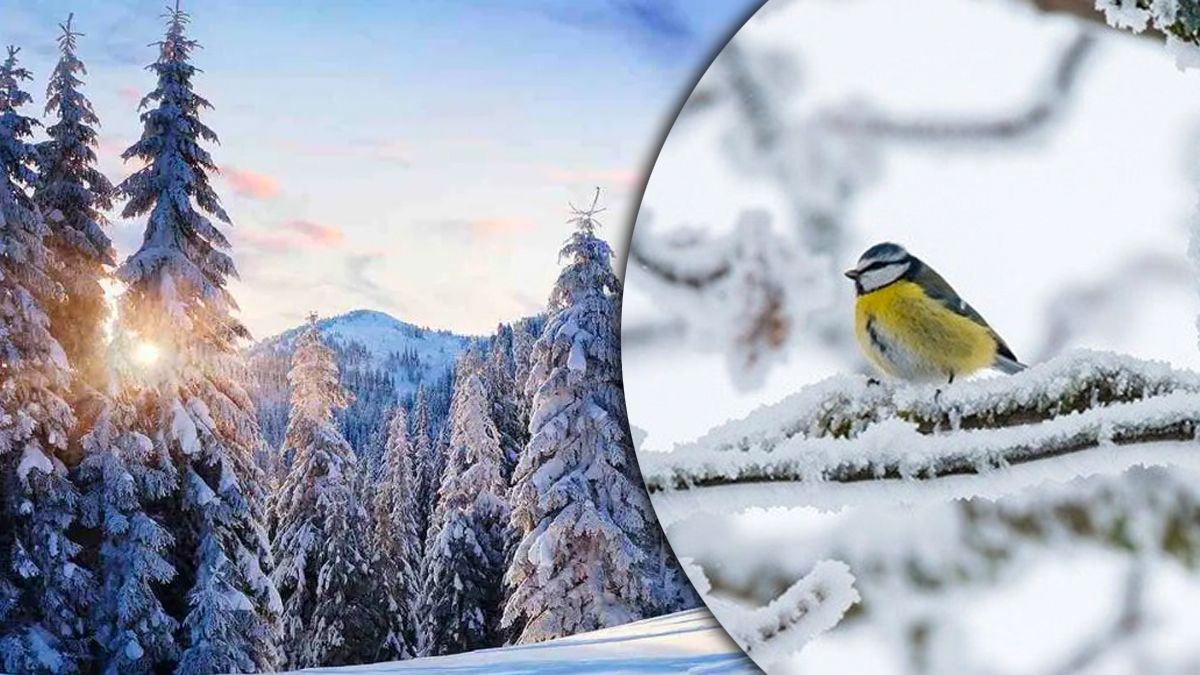 Прогноз погоды на 9 февраля. Прогноз погоды на 9 февраля.