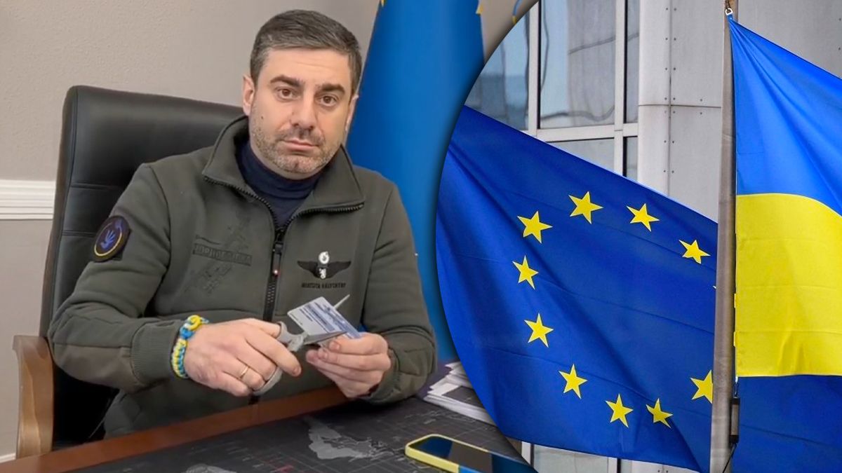 Лубінець про вихід України з Європейського інституту Омбудсмена Лубінець про вихід України з Європейського інституту Омбудсмена