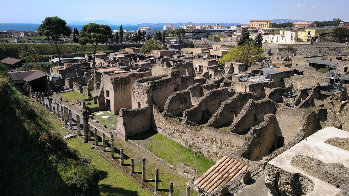 Древний свиток из сгоревшей библиотеки прочитали с помощью искусственного интеллекта Древний свиток из сгоревшей библиотеки прочитали с помощью искусственного интеллекта