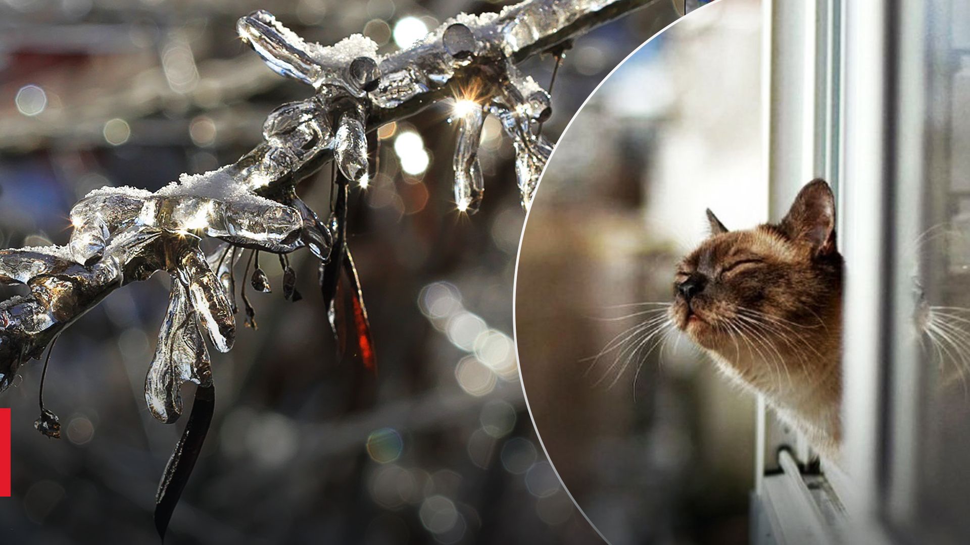 В Україні зміниться погода - прогноз на тиждень В Україні зміниться погода - прогноз на тиждень