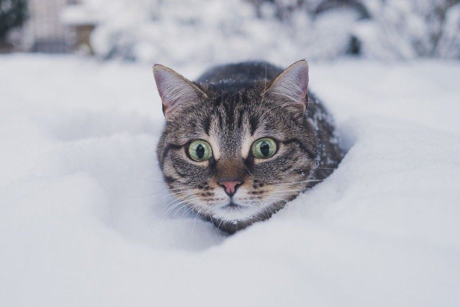 Прогноз погоди в Україні на 11 лютого 2023 – якою буде температура Прогноз погоди в Україні на 11 лютого 2023 – якою буде температура