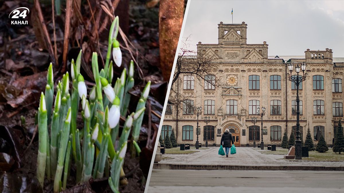 Зима в Украине - 24 Канал Зима в Украине - 24 Канал