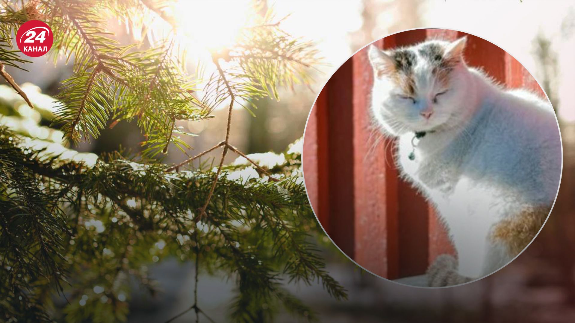 Прогноз погоди в Україні на 13 лютого Прогноз погоди в Україні на 13 лютого