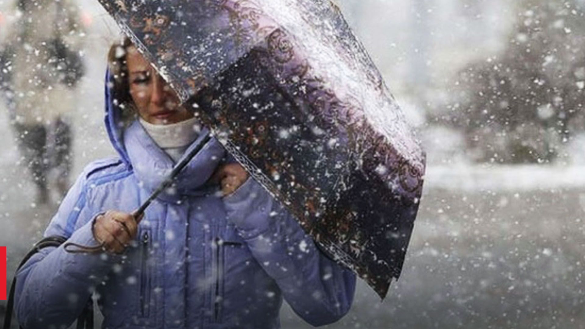 У Києві оголосили штормове попередження У Києві оголосили штормове попередження