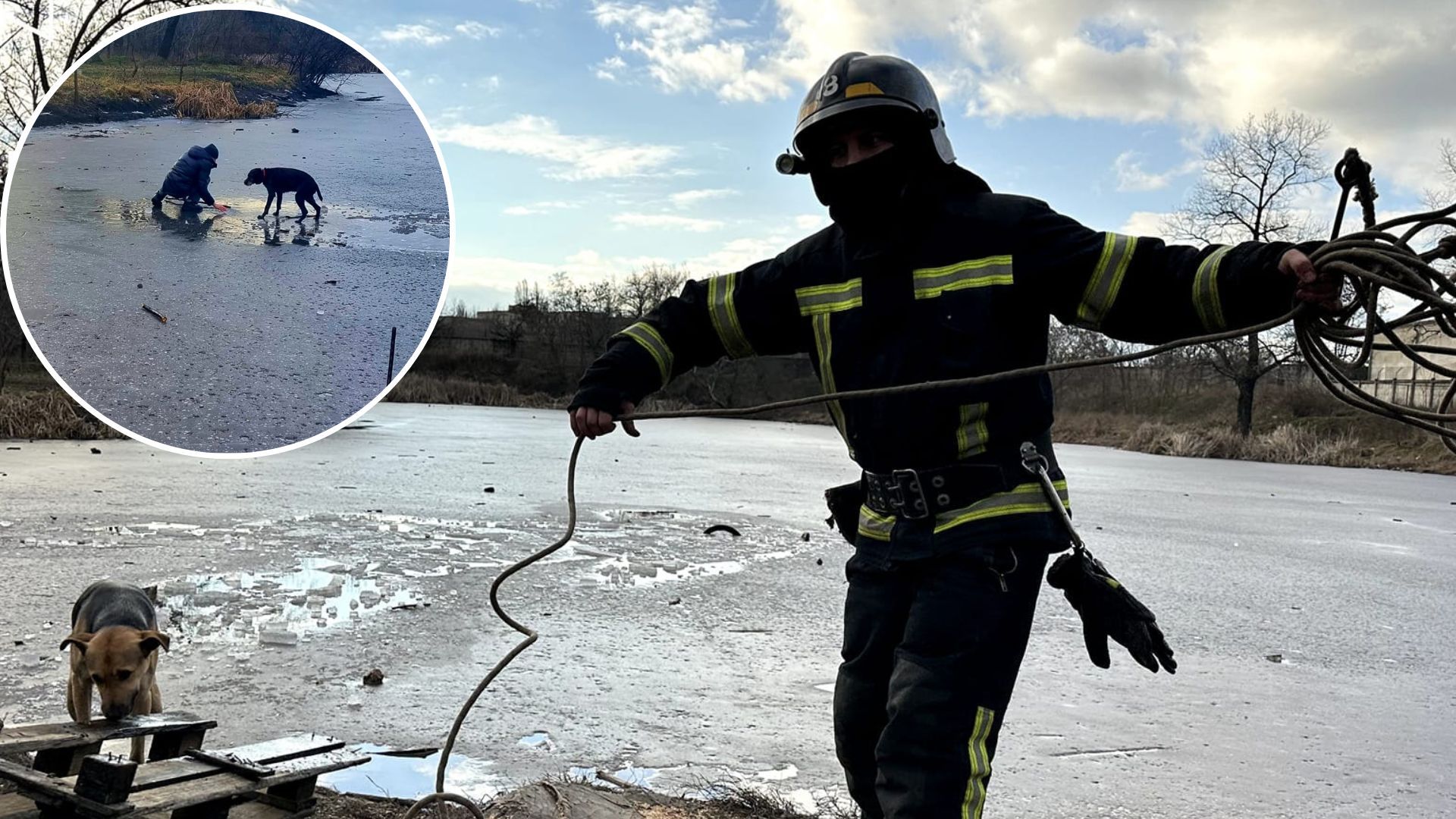 В Одессе мужчина спасал провалившегося под лед пса 14 февраля 2023 - что известно - 24 Канал