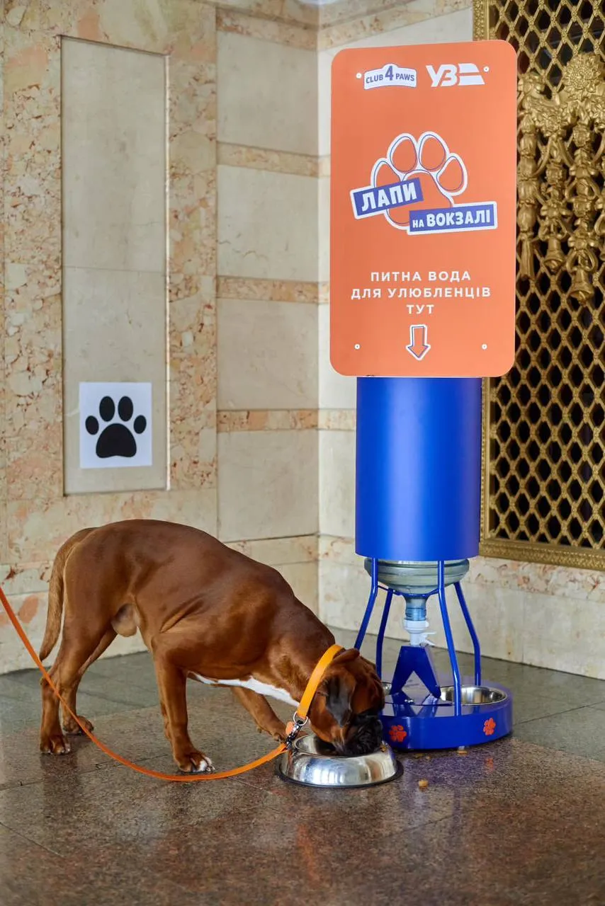 Українські вокзали стають більш рet-friendly Українські вокзали стають більш рet-friendly