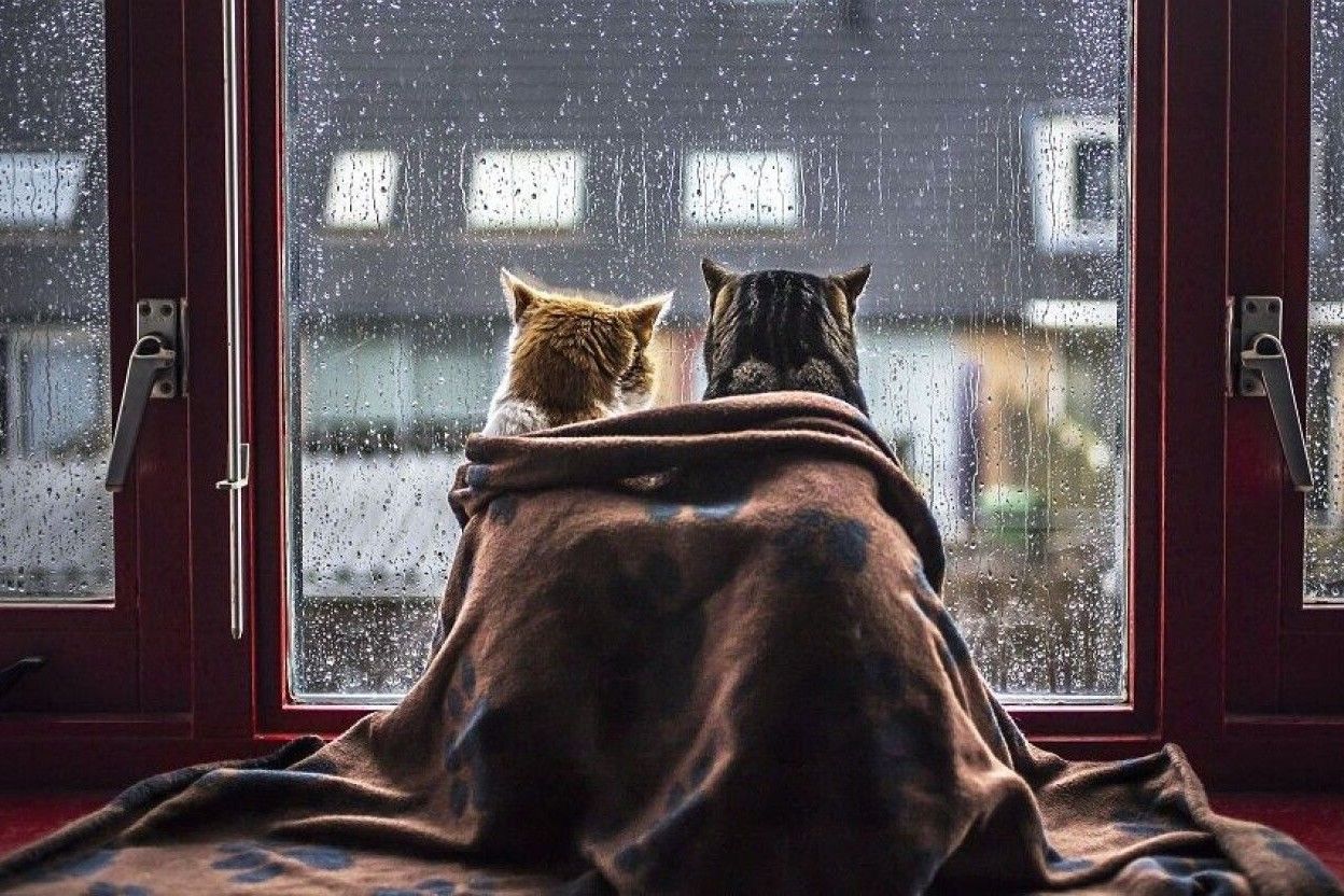 Погода в Украине 17 февраля Погода в Украине 17 февраля