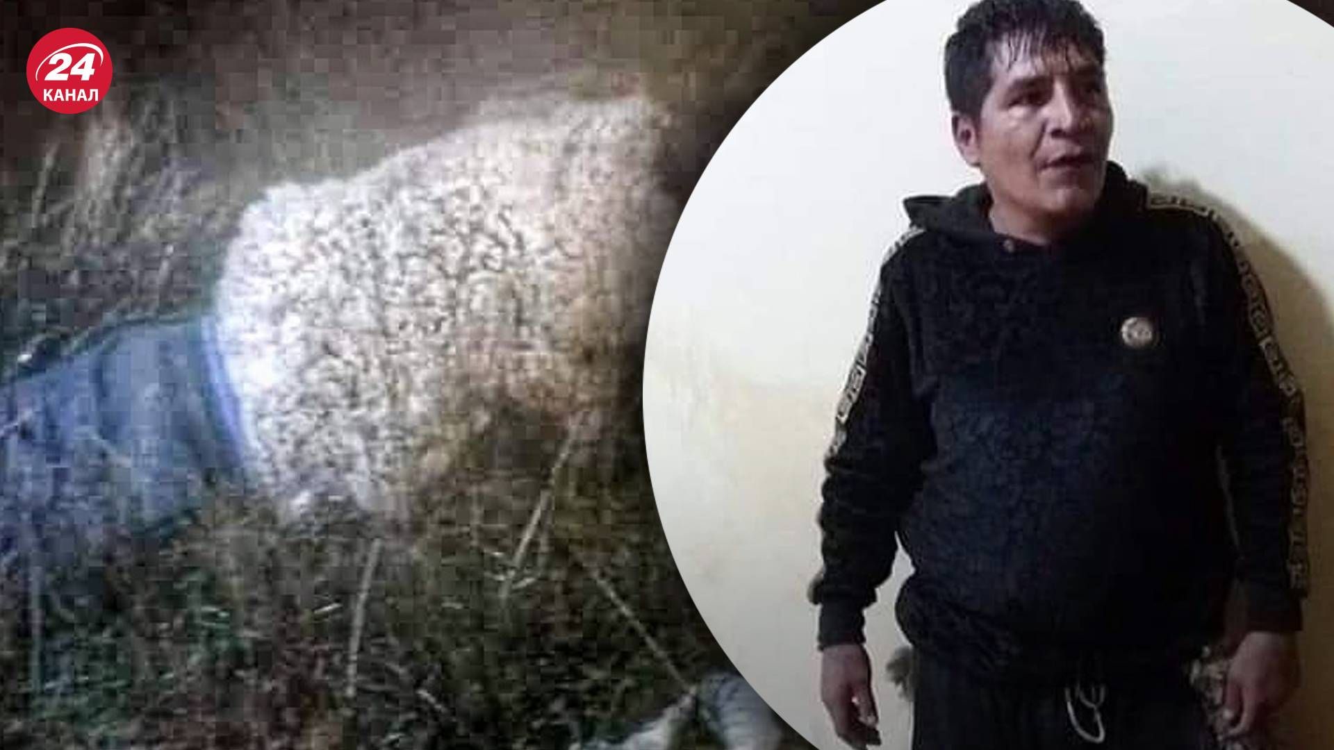 Прикинулся овцой, чтобы сбежать из тюрьмы - курьезный случай в Боливии - фото Прикинулся овцой, чтобы сбежать из тюрьмы - курьезный случай в Боливии - фото