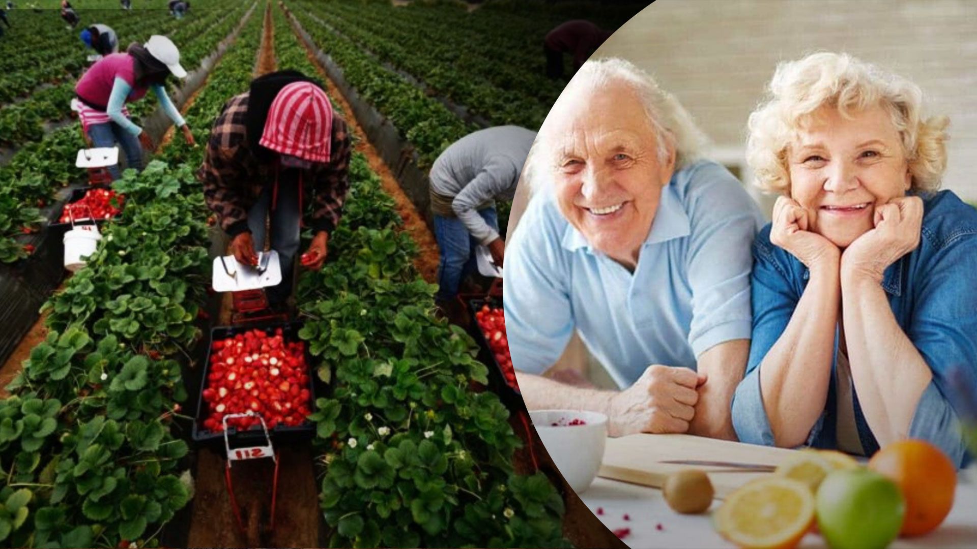 Українці можуть отримувати пенсію від Польщі Українці можуть отримувати пенсію від Польщі