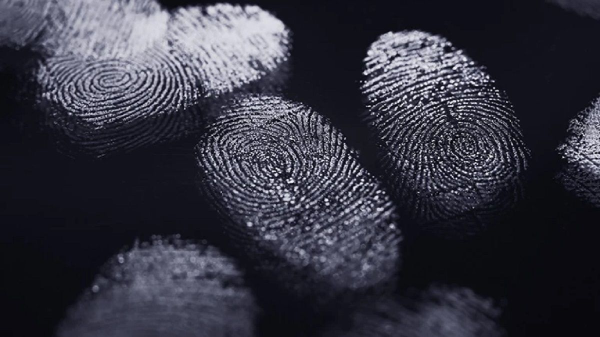 Як відбитки пальців отримують свої унікальні завитки під час внутрішньоутробного розвитку Як відбитки пальців отримують свої унікальні завитки під час внутрішньоутробного розвитку