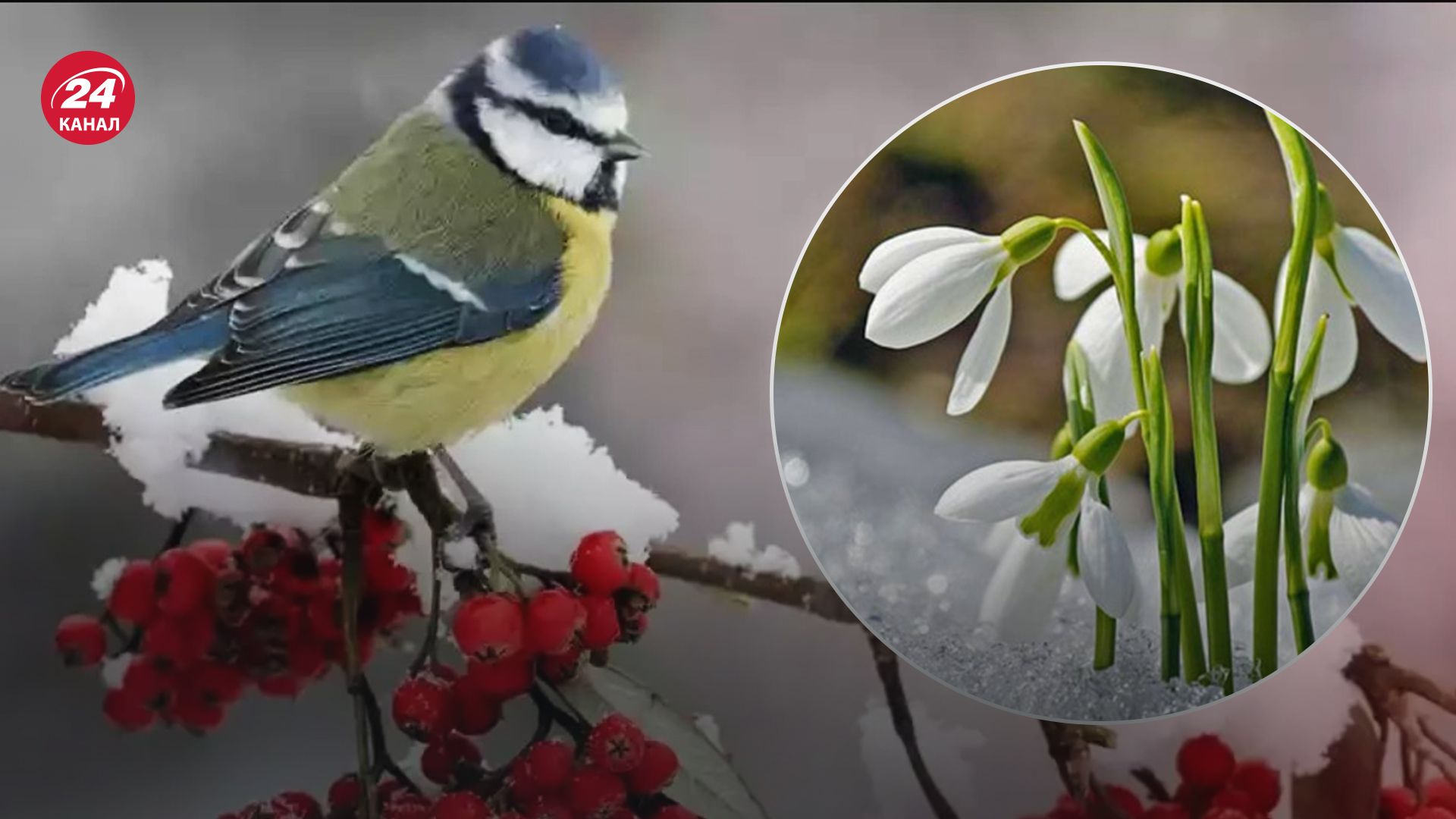 Прогноз погоды в Украине на 19 февраля Прогноз погоды в Украине на 19 февраля