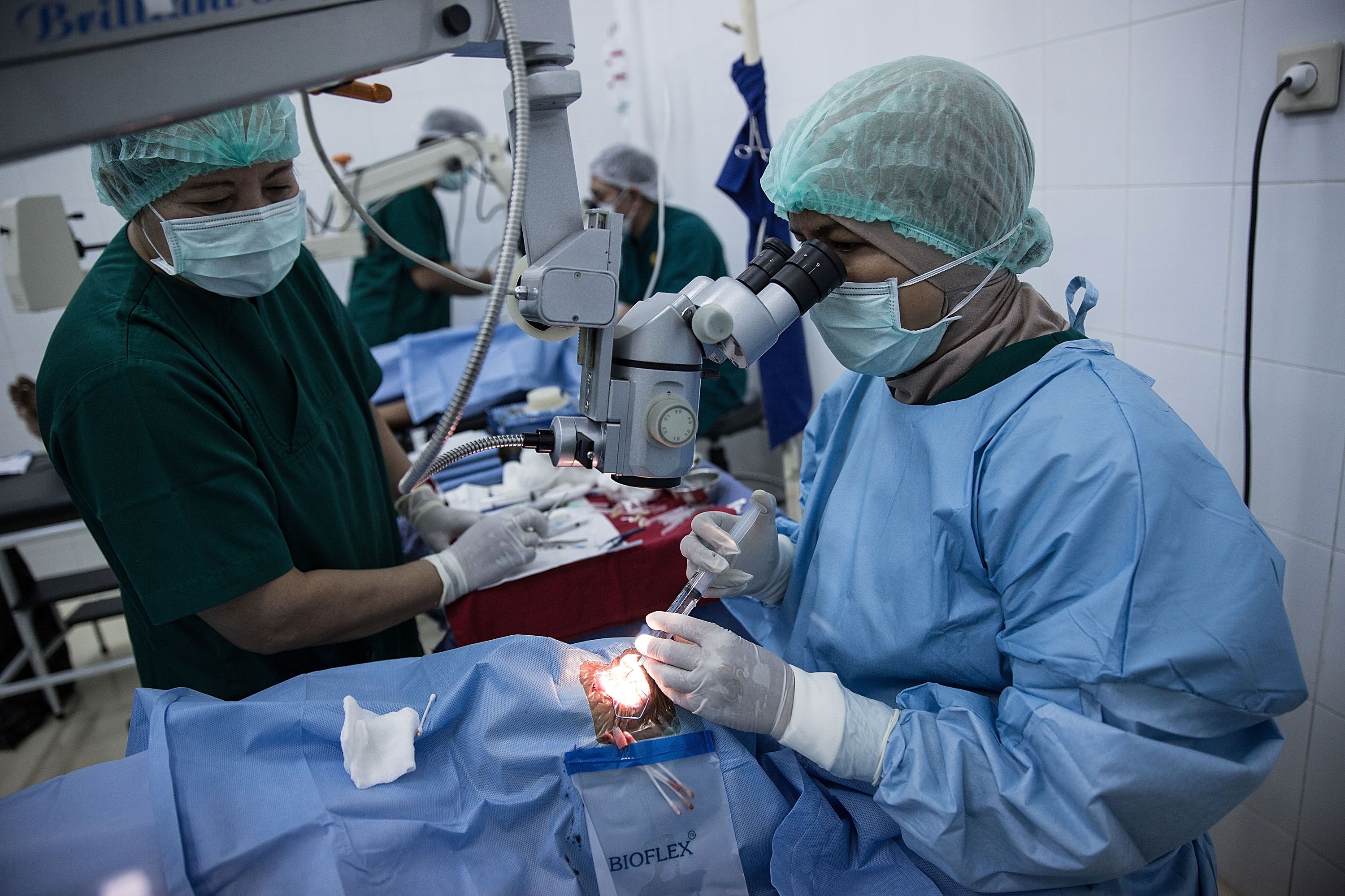 Стало відомо про деталі ініціативи канадських лікарів для україні у галузі пластичної хірургії