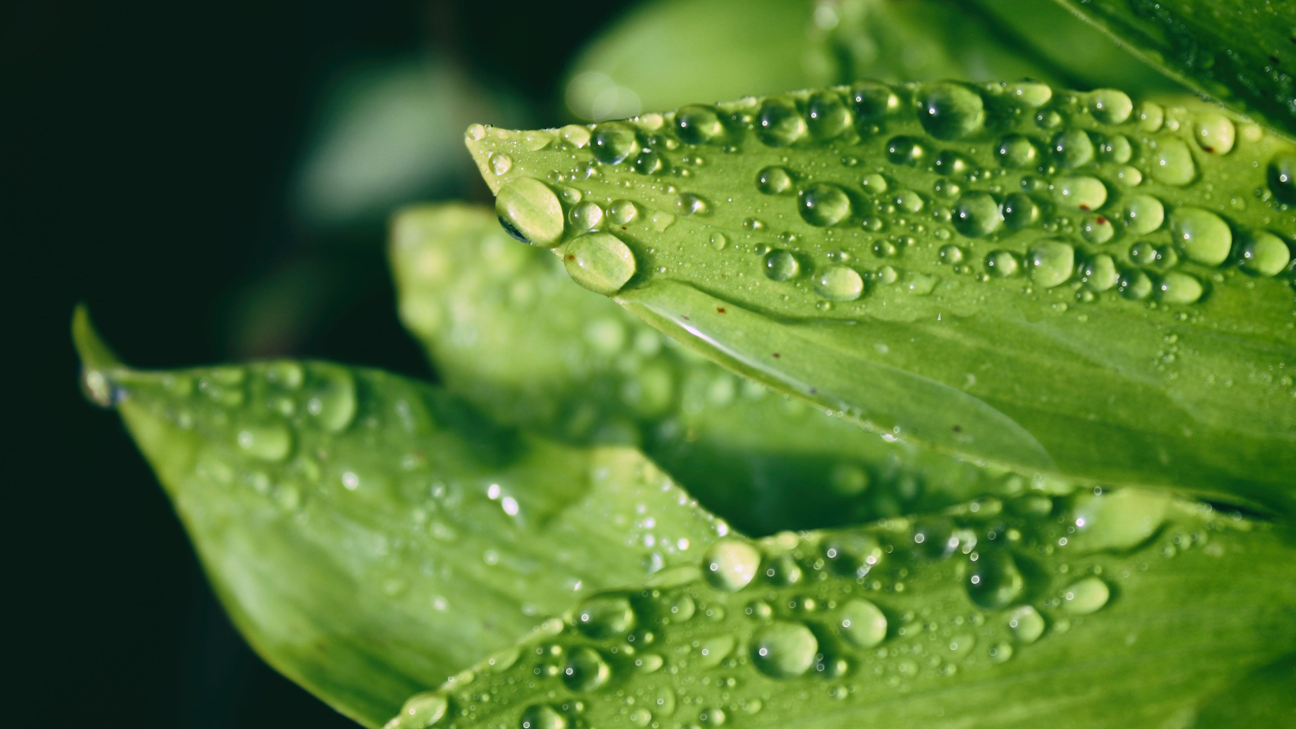 Вчені здійснили прорив у методах очищення води Вчені здійснили прорив у методах очищення води