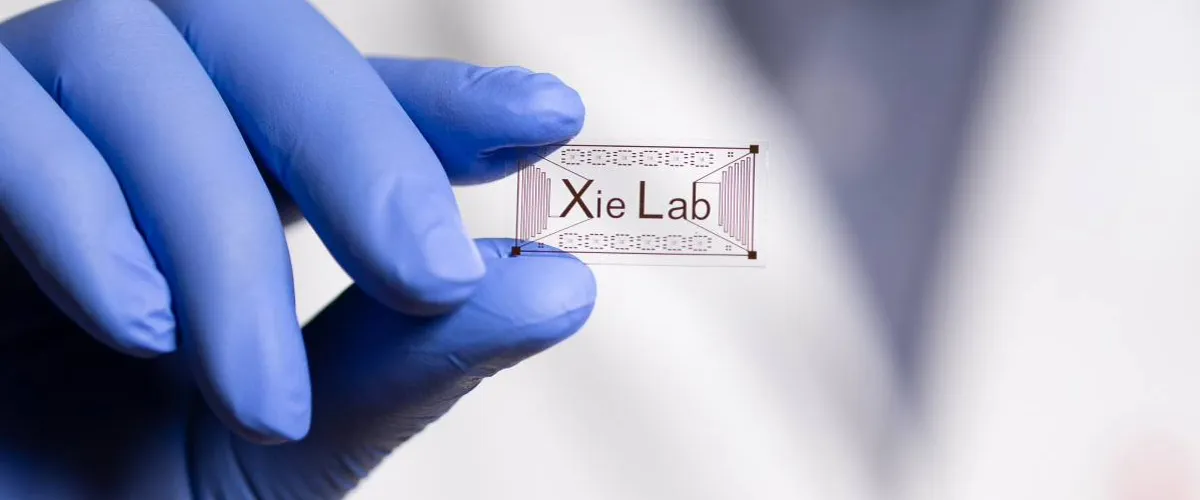 Чип с золотыми элементами Чип с золотыми элементами