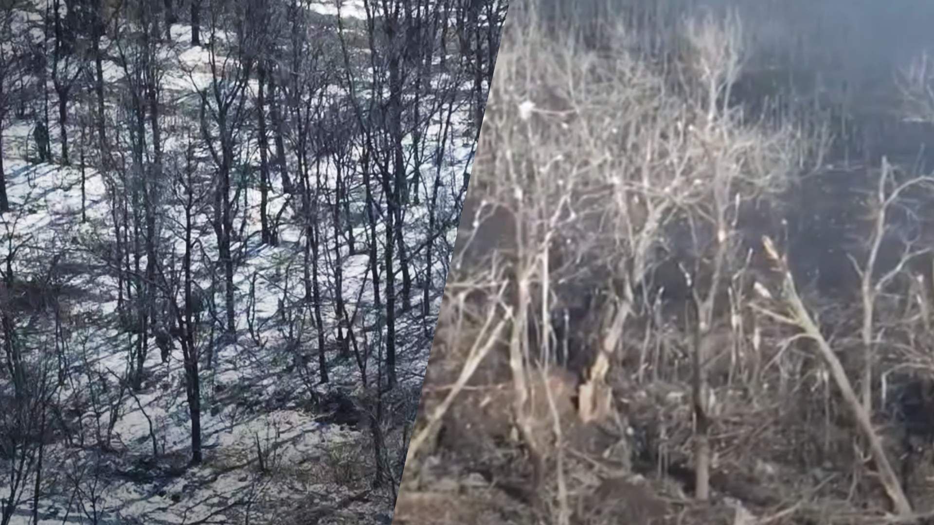 Група окупантів намагалася підібратися до позицій 30 ОМБр: росіянам довелось тікати хто куди - 24 Канал Група окупантів намагалася підібратися до позицій 30 ОМБр: росіянам довелось тікати хто куди - 24 Канал