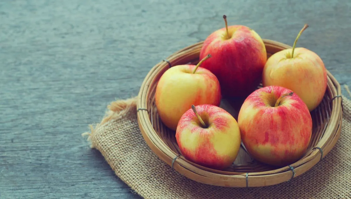 Як зберігати яблука в квартирі та погребі - основні правила 