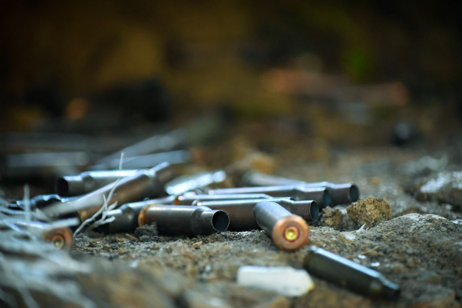 Потери РФ 23 февраля 2023 года – свежие цифры по потерям врага Потери РФ 23 февраля 2023 года – свежие цифры по потерям врага