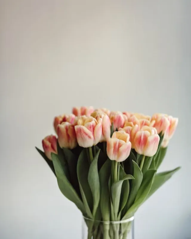 Що варто зробити цієї весни - цікаві ідеї Що варто зробити цієї весни - цікаві ідеї