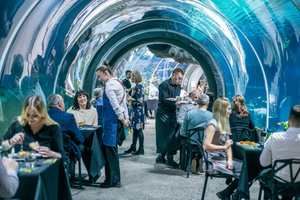 Ужин в подводном тоннеле Ориентариума Ужин в подводном тоннеле Ориентариума