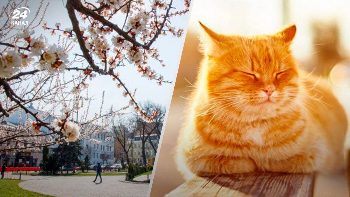 В Україні прогнозують потепління до +19 градусів – 24 Канал В Україні прогнозують потепління до +19 градусів – 24 Канал
