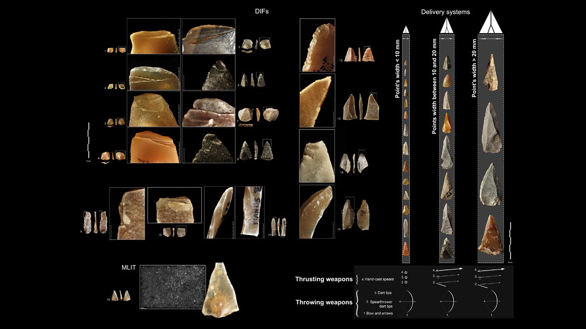 Наконечники стрел, возрастом 54 000 лет, указывают на ранние примеры Homo sapiens в Европе