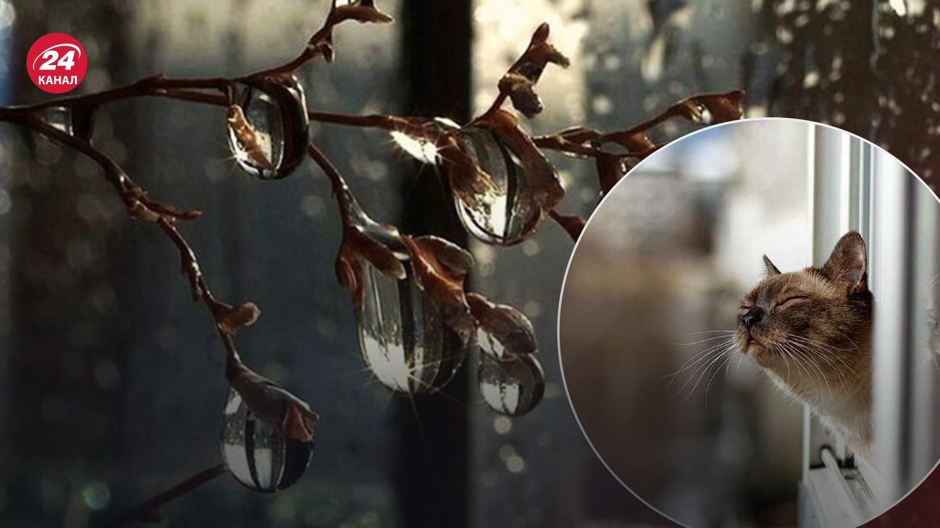 Погода в Украине 26 февраля Погода в Украине 26 февраля