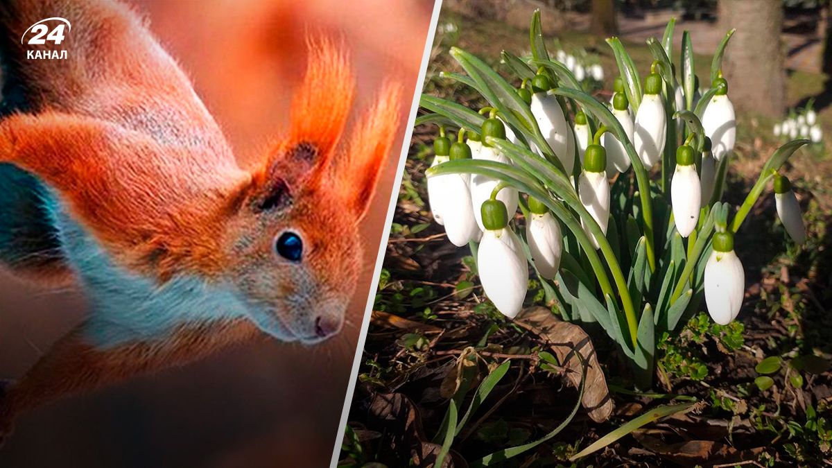 Прогноз погоди на березень - 24 Канал Прогноз погоди на березень - 24 Канал