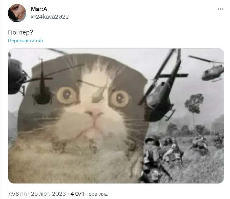 Меми про Гюнтера Меми про Гюнтера