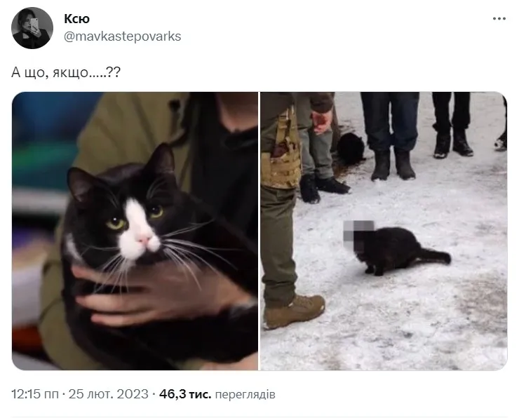 Меми про Гюнтера Меми про Гюнтера