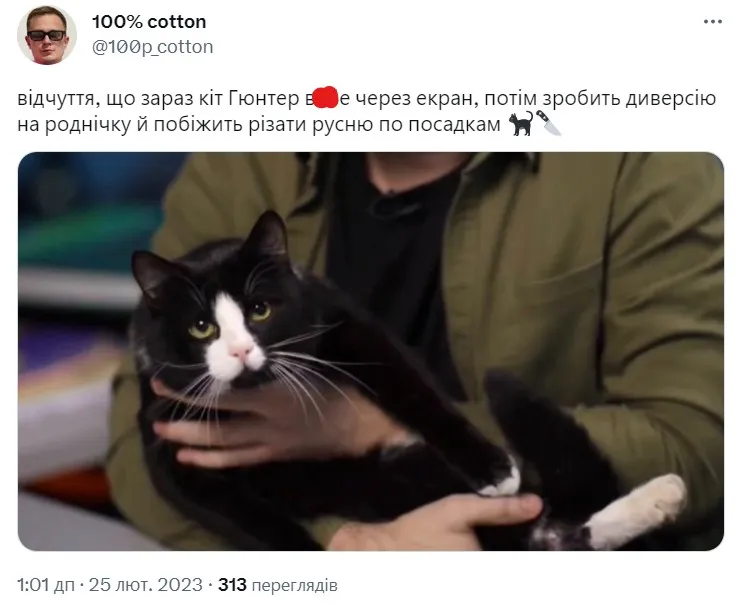 Меми про Гюнтера Меми про Гюнтера