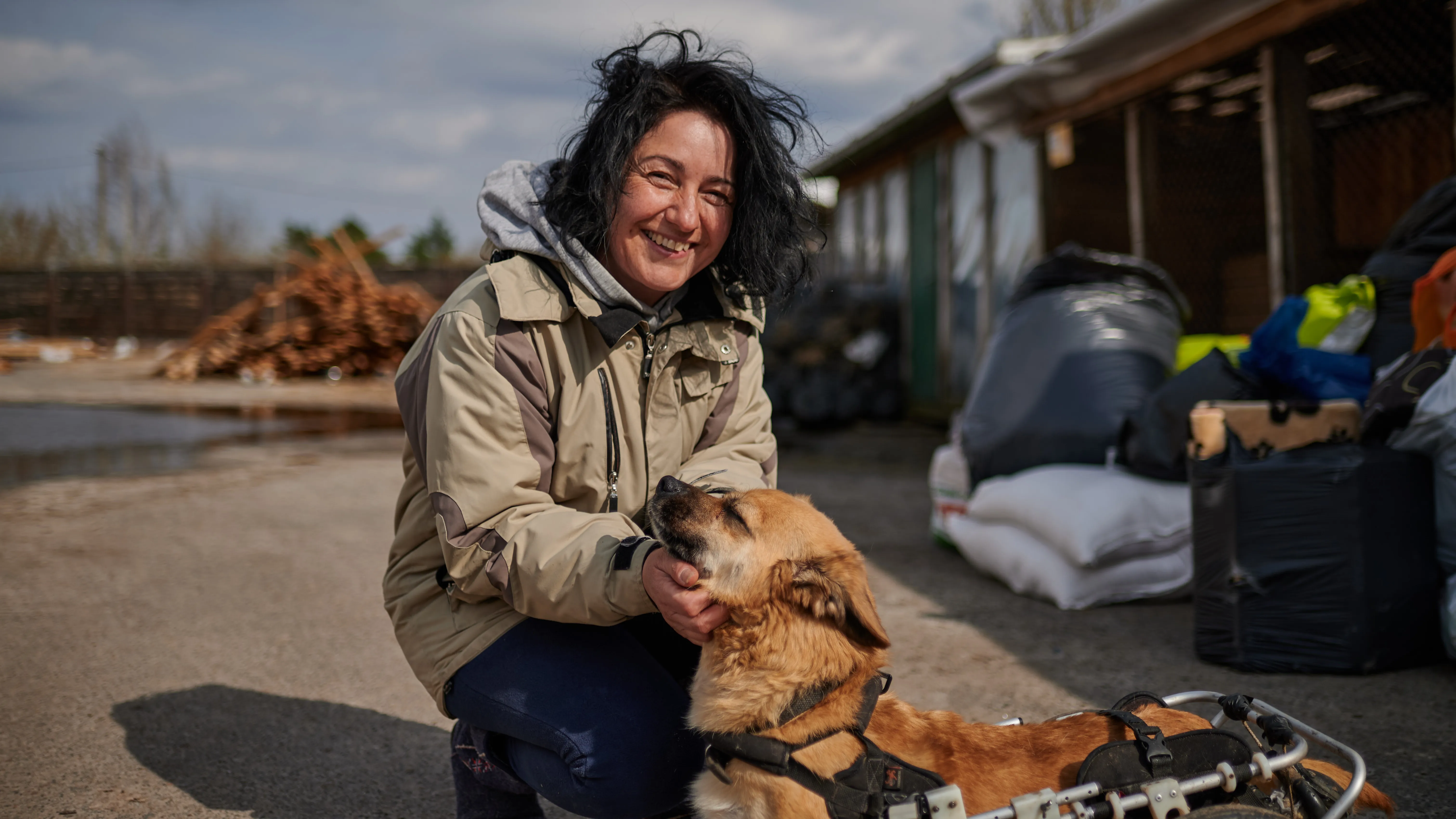 Олександра Мезінова притулок Олександра Мезінова притулок